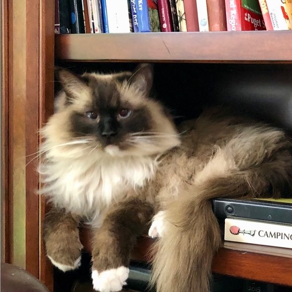 🚀☀️💝Meet your Posher, Patricia💝☀️🚀 - Picture 6 of 9